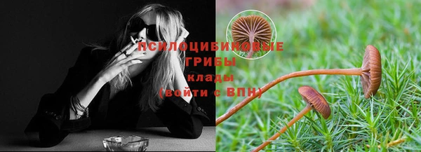 мет Протвино