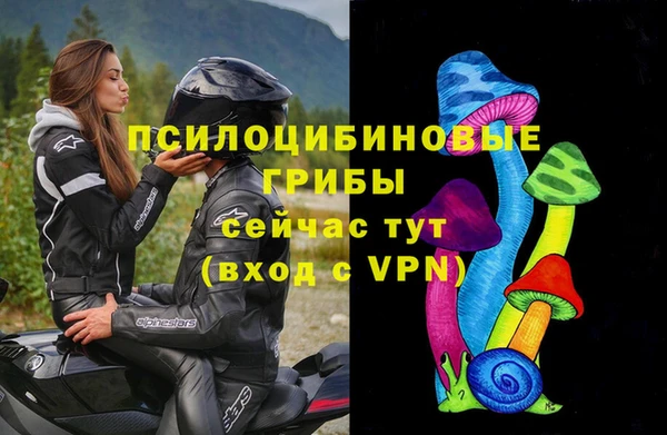дмт Россошь