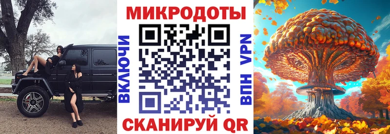 Галлюциногенные грибы Psilocybine cubensis  Балахна 