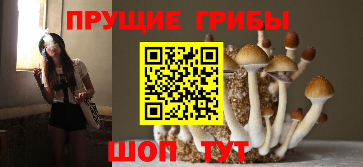 Галлюциногенные грибы MAGIC MUSHROOMS  Вход с VPN  Балахна 